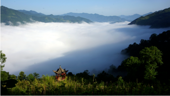 集團(tuán)全力助推甘肅隴南康縣委托招商引資，以綠色發(fā)展推動(dòng)鄉(xiāng)村振興